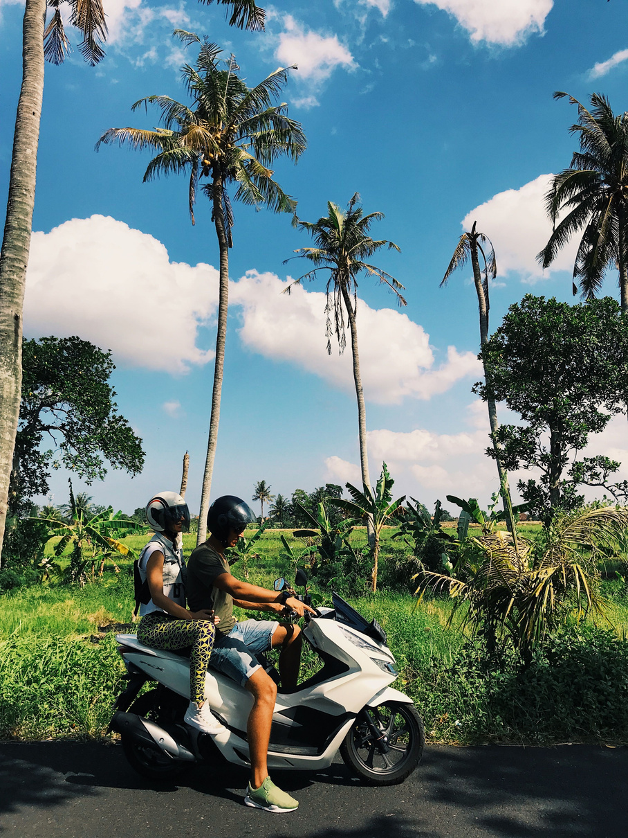 Car or Bike Rental