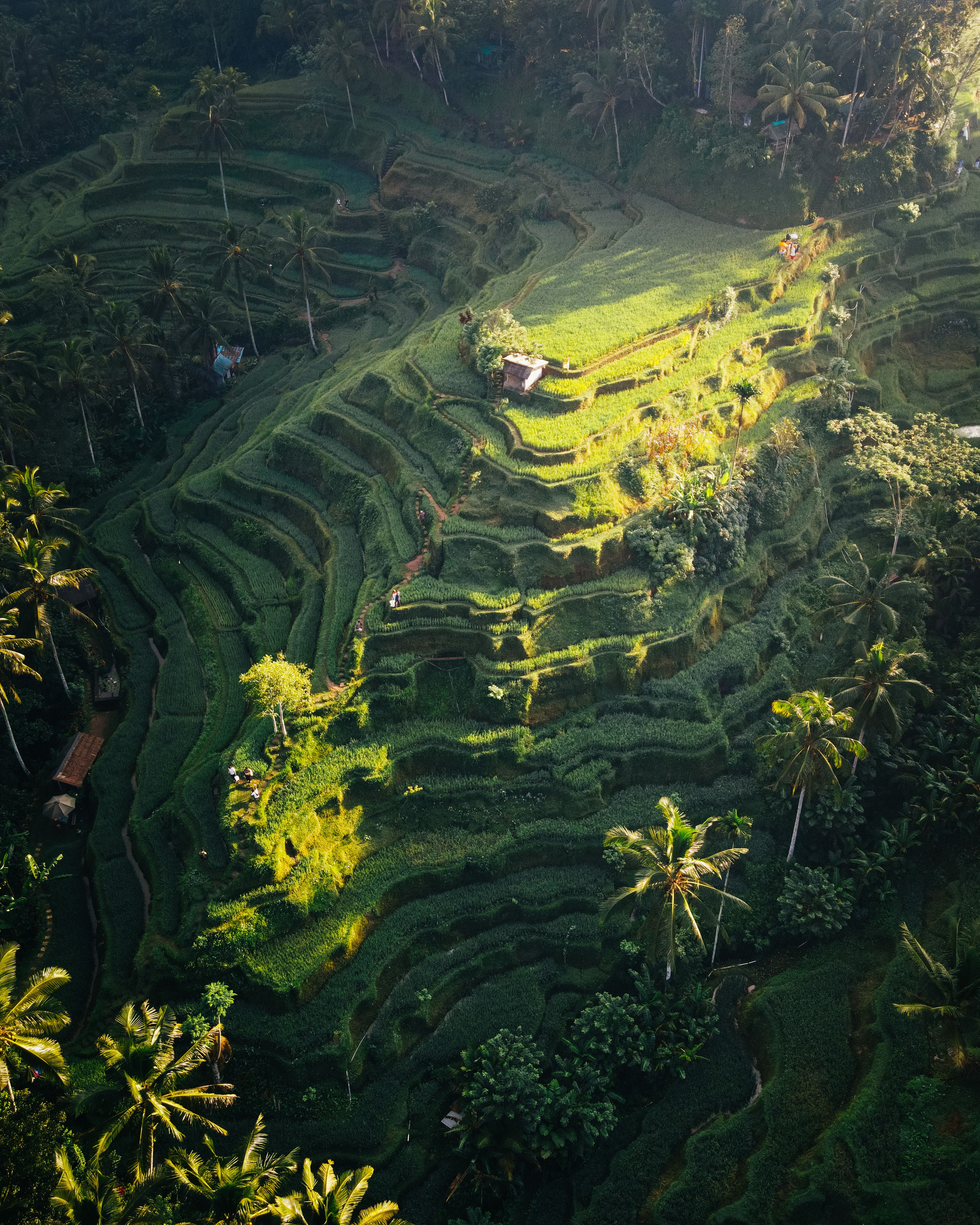 Adventure Rides and Nature Excursions