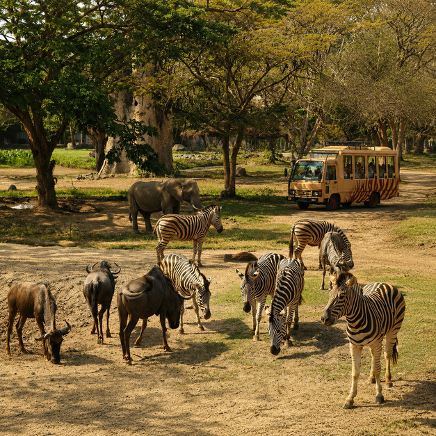 Safari Park and Adventure Explorer