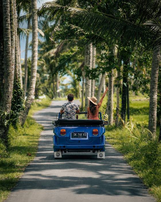 Volkswagen Half Day Tour