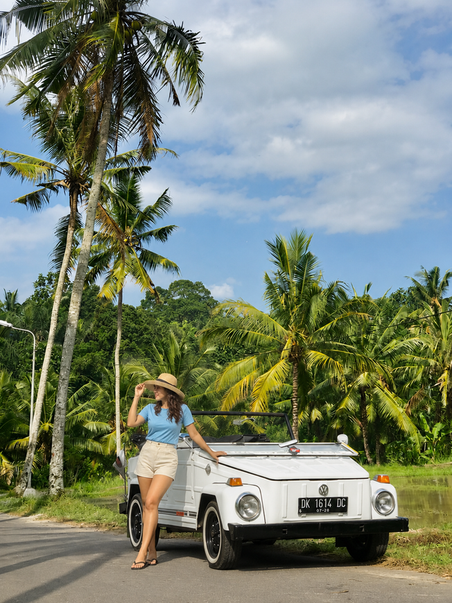 Volkswagen Full Day Tour