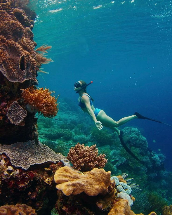 Try Free Diving [Half Day]