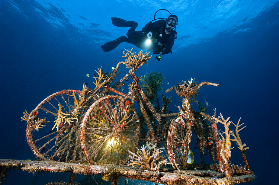 Night Dive